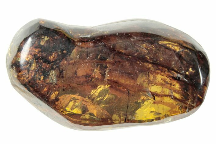 Polished Chiapas Amber ( g) - Mexico #253875